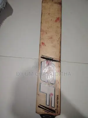 SF Bat