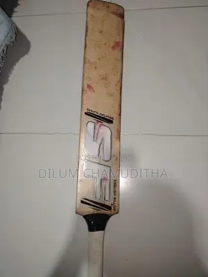 SF Bat