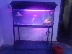 Fish Tank