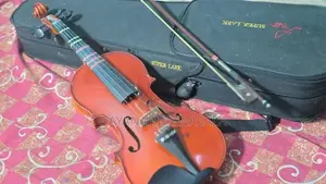 Super Lark Violin Full Set
