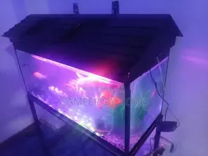 fish tank with fish's