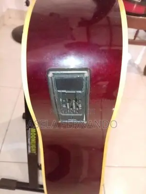 Takamine Guitar
