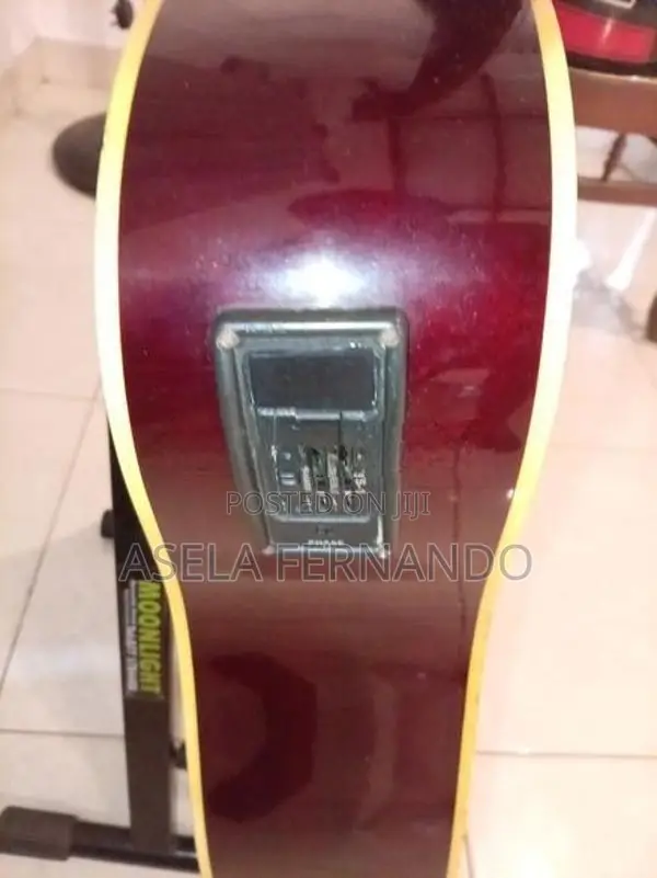 Takamine Guitar