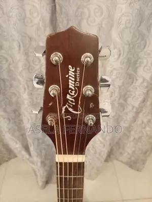 Takamine Guitar