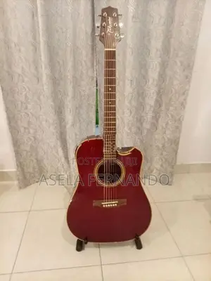 Takamine Guitar