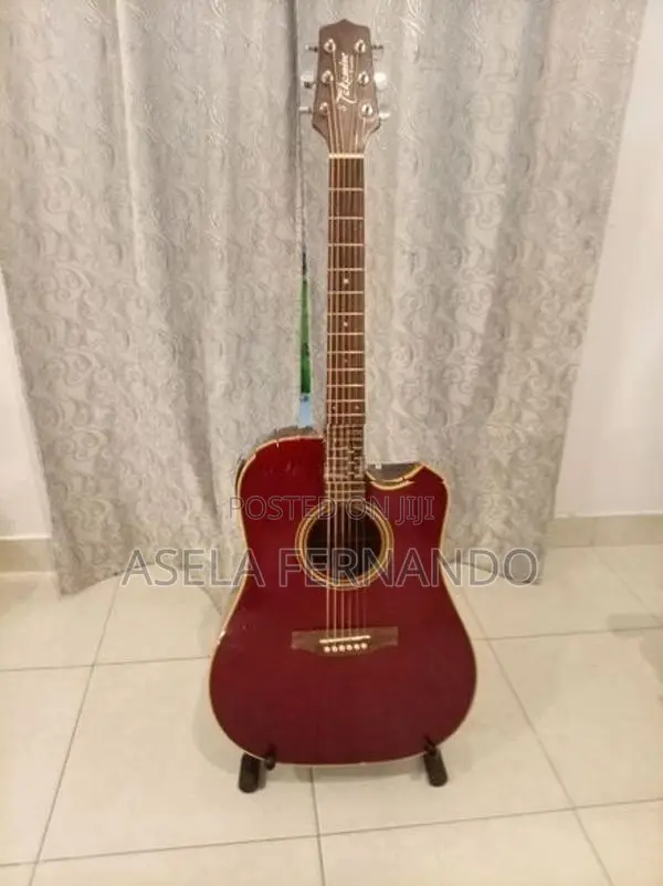 Takamine Guitar