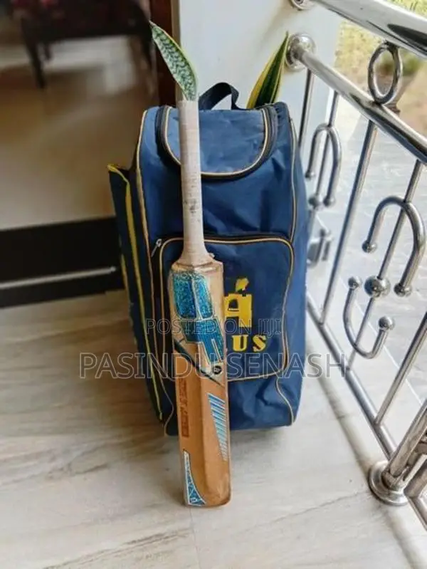 Cricket set