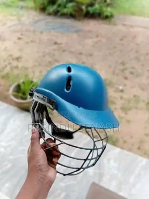 Cricket set