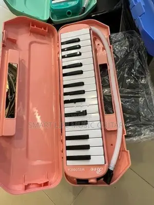 Bee Melodicas with Hard Case