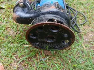 Mac Water Pump 2"