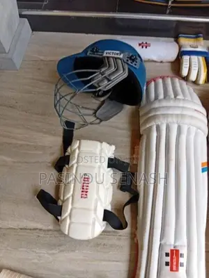 Cricket set