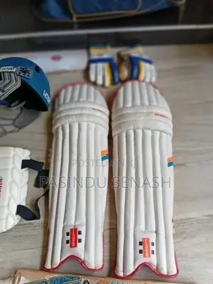 Cricket set