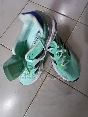 Sportswear Deck Shoes