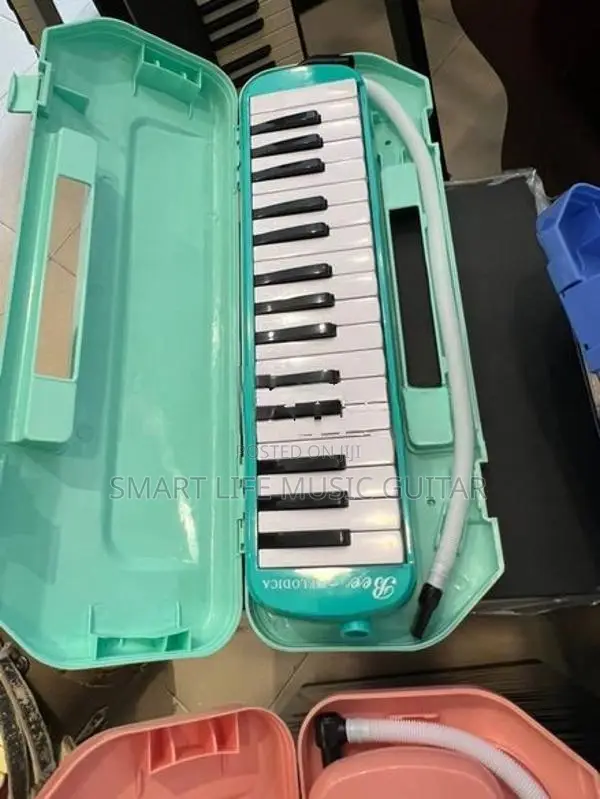 Bee Melodicas with Hard Case