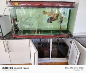 Fish Tank