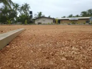 Malaysian Grass Carpet