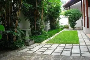 Malaysian Grass Carpet