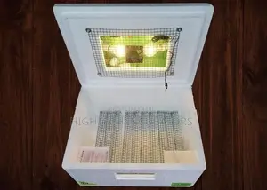 90 Egg Incubator