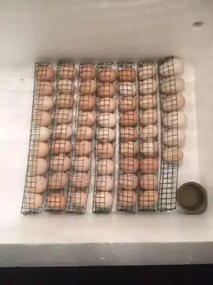 90 Egg Incubator