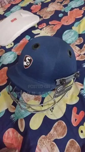 SG Cricket Helmet