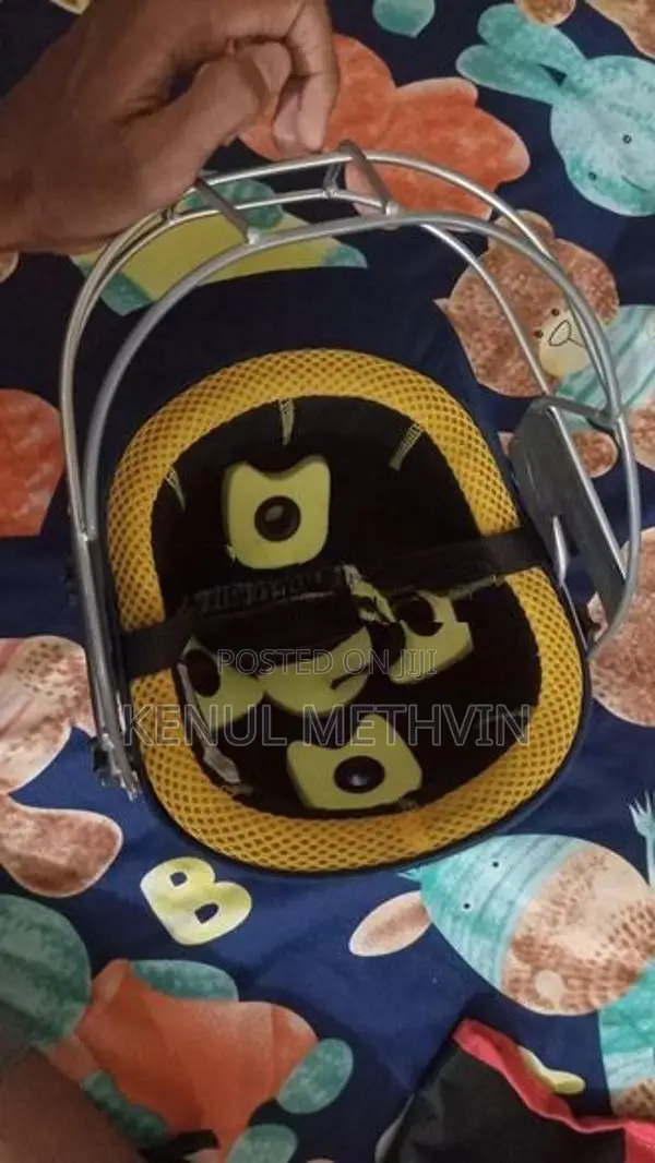 SG Cricket Helmet
