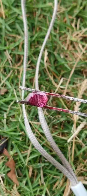 Pink Sapphire