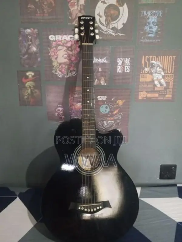 Infinity HS-33 Acoustic Guitar