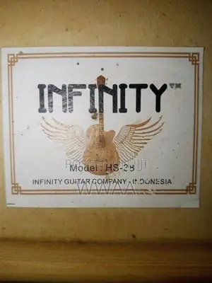 Infinity HS-33 Acoustic Guitar
