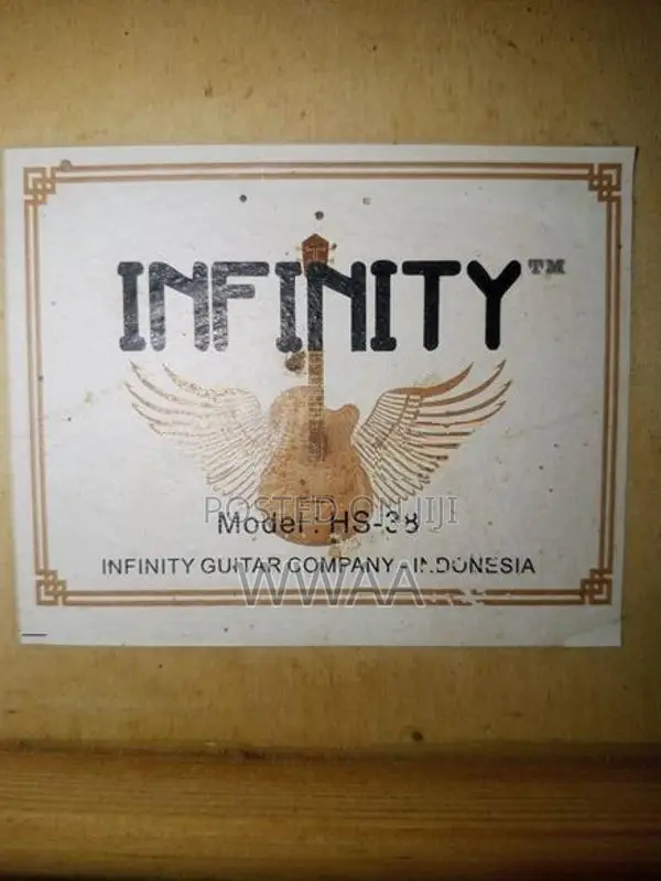 Infinity HS-33 Acoustic Guitar