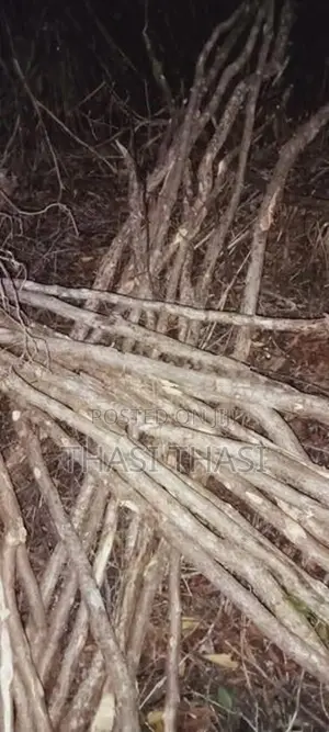 தடி தோட்ட பயன்பாட்டிற்கு