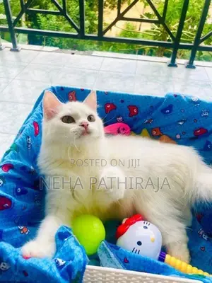 Persian