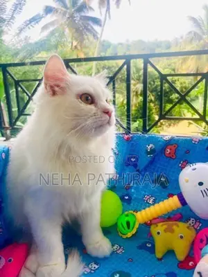 Persian