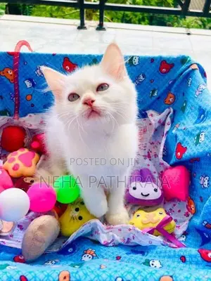 Persian