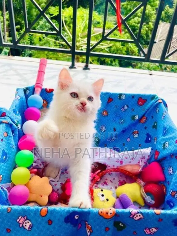 Persian