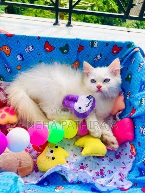 Persian