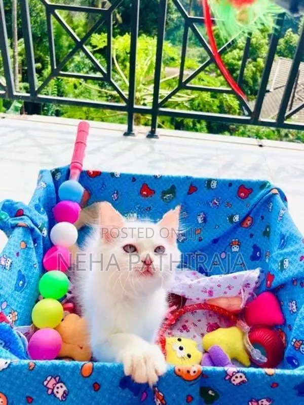 Persian