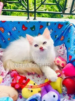 Persian