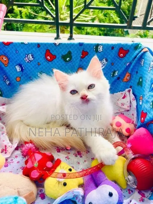 Persian