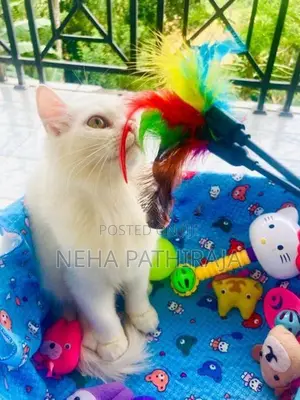 Persian