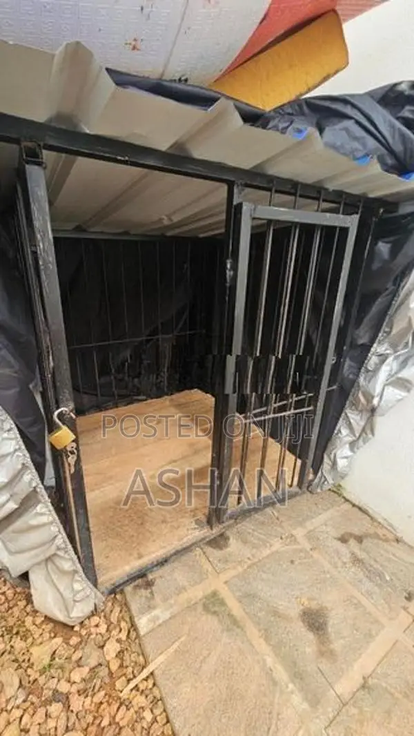 Steel Dog Cage