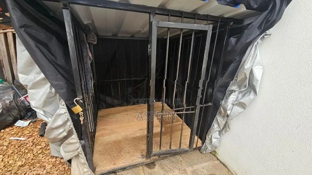Steel Dog Cage