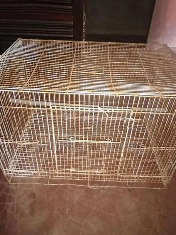 Bird Cages