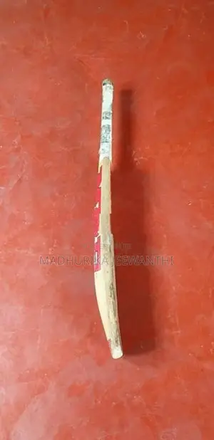 Cricket MRF bat