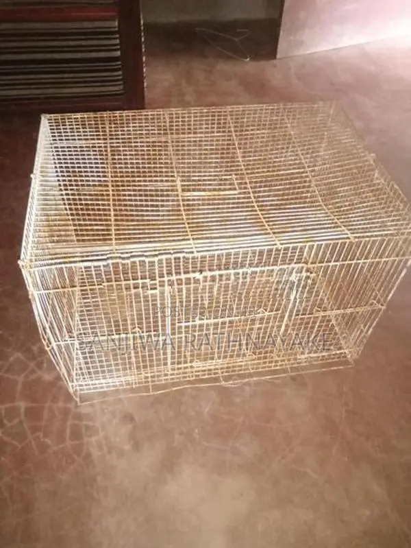 Bird Cages