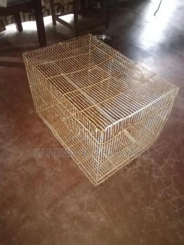 Bird Cages