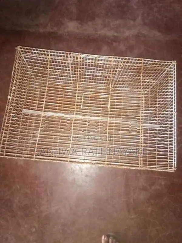 Bird Cages