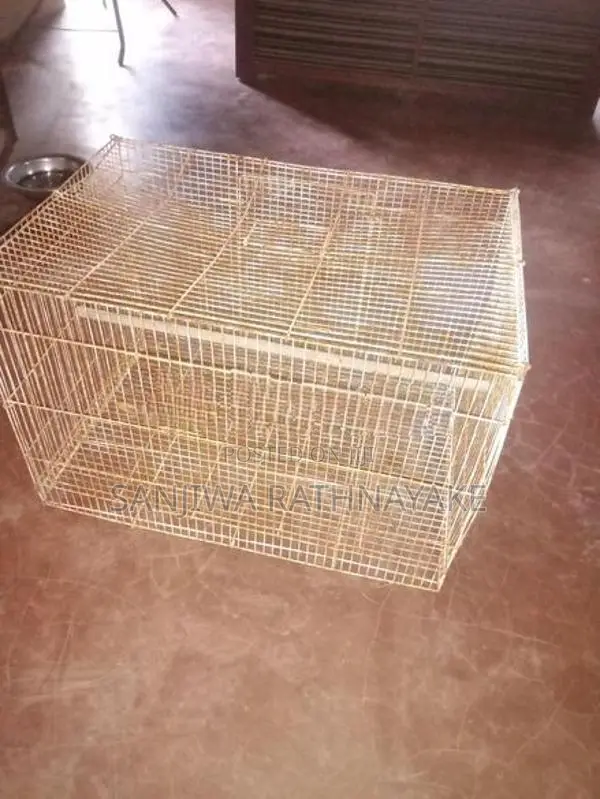 Bird Cages
