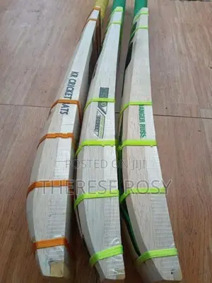 Big Edge Cricket Bats