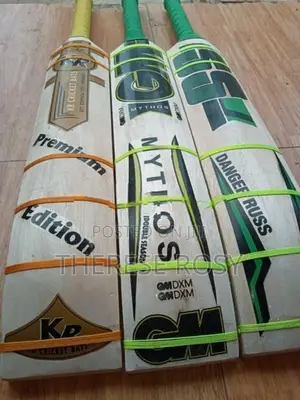 Big Edge Cricket Bats