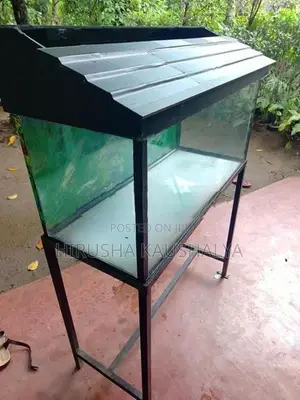 Fish Tank